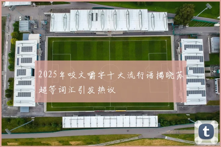 2025年咬文嚼字十大流行语揭晓苏超等词汇引发热议